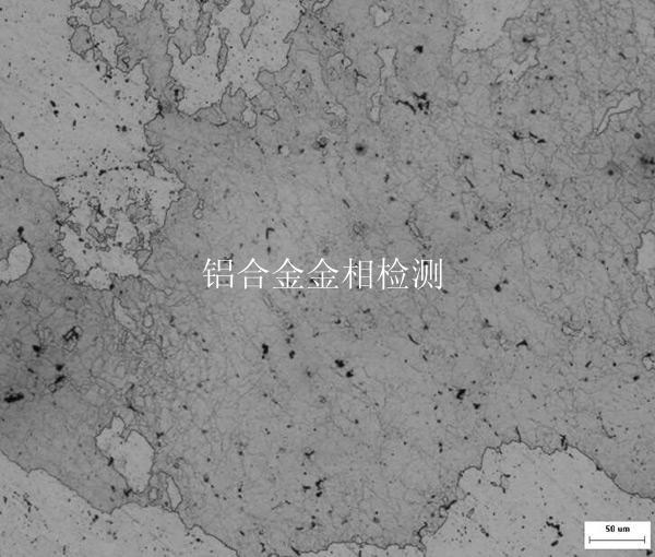 铝合金金相检测