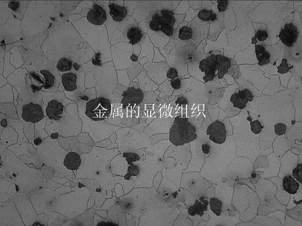 金属的显微组织