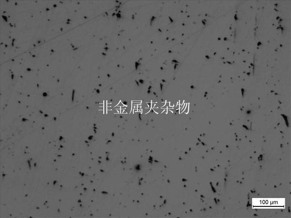 非金属夹杂物