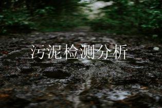 污泥检测分析