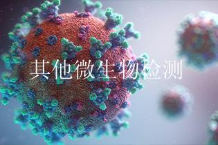 其他微生物检测