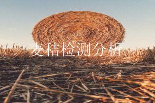 麦秸检测分析