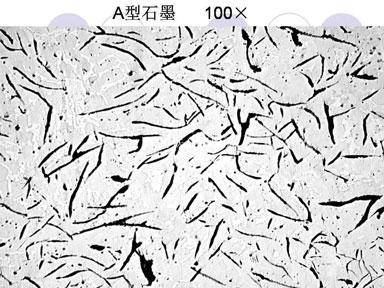 灰铸铁金相检测